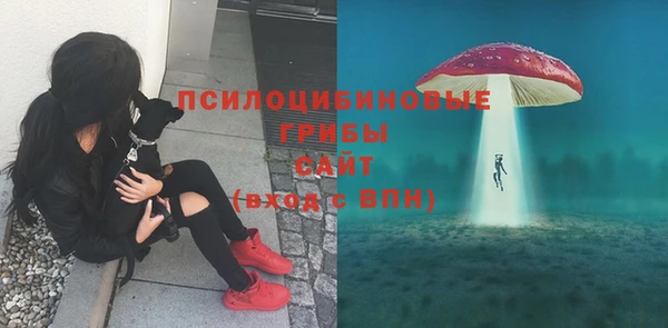 не бодяженный Алексин