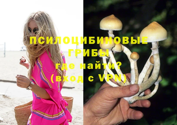 не бодяженный Алексин