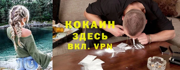 не бодяженный Алексин