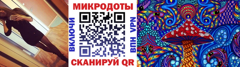 Псилоцибиновые грибы прущие грибы  Дубовка 
