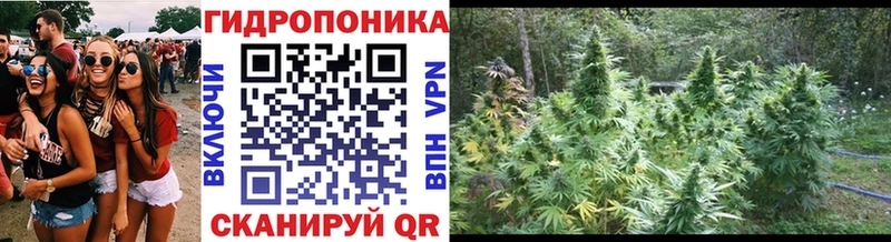 Марихуана индика  Дубовка 